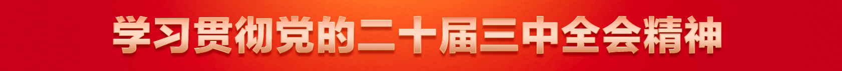 学习贯彻党的二十届三中全会精神.png